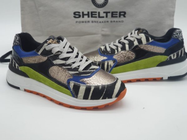 SHELTER Femme-sneaker- imprimé zèbre - cuir plombmulti-